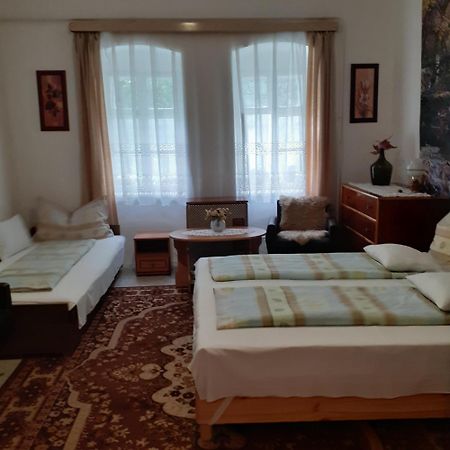 Apartamento Marika vendégház Abádszalók Exterior foto