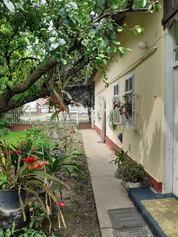 Apartamento Marika vendégház Abádszalók Exterior foto