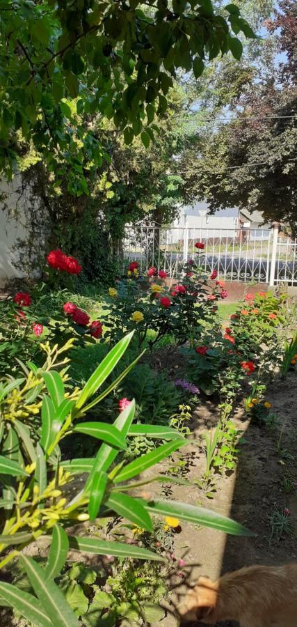 Apartamento Marika vendégház Abádszalók Exterior foto