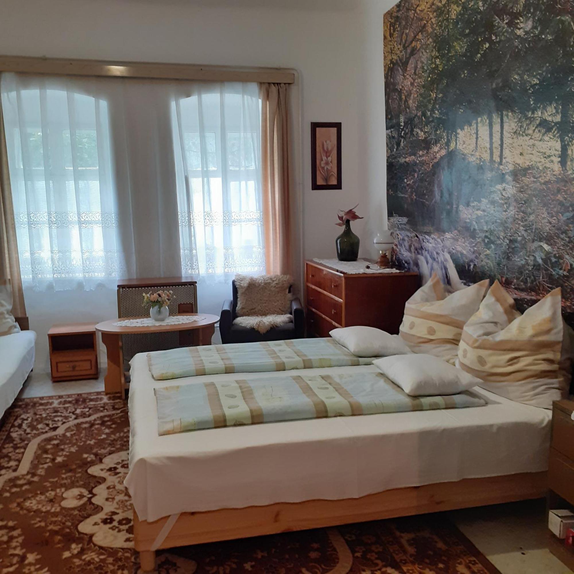 Apartamento Marika vendégház Abádszalók Exterior foto